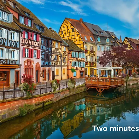 La Cotonniere Downtown アパート コルマール